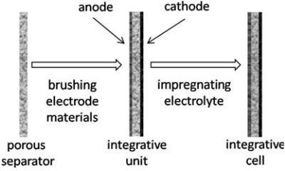 Schematic diagram of integrative cell preparation